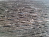 Keller - keuken met aeg/pelgrim apparatuur - afbeelding 11 van  18