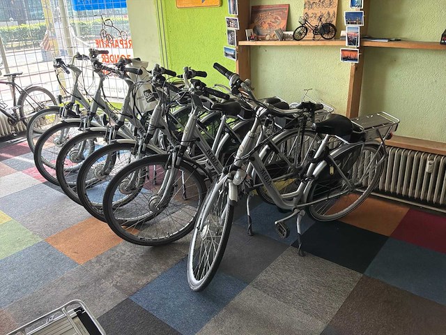 Keola texel elektrische fiets (6x) - afbeelding 4 van  4