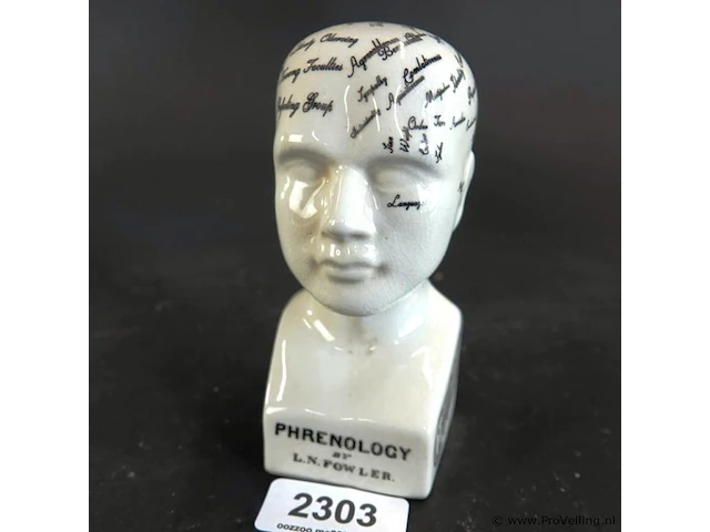 Keramieken frenologiehoofd (phrenology head) naar het klassieke 19e-eeuwse ontwerp van l.n. fowler - afbeelding 1 van  5