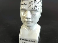 Keramieken frenologiehoofd (phrenology head) naar het klassieke 19e-eeuwse ontwerp van l.n. fowler