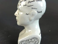 Keramieken frenologiehoofd (phrenology head) naar het klassieke 19e-eeuwse ontwerp van l.n. fowler - afbeelding 2 van  5