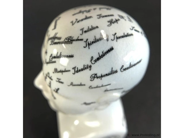 Keramieken frenologiehoofd (phrenology head) naar het klassieke 19e-eeuwse ontwerp van l.n. fowler - afbeelding 3 van  5