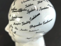 Keramieken frenologiehoofd (phrenology head) naar het klassieke 19e-eeuwse ontwerp van l.n. fowler - afbeelding 3 van  5