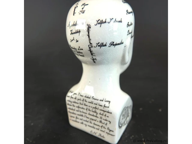 Keramieken frenologiehoofd (phrenology head) naar het klassieke 19e-eeuwse ontwerp van l.n. fowler - afbeelding 4 van  5