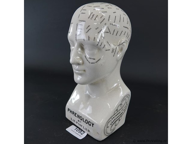 Keramieken frenologiehoofd - afbeelding 1 van  5