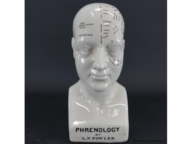 Keramieken frenologiehoofd - afbeelding 2 van  5