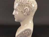 Keramieken frenologiehoofd - afbeelding 3 van  5