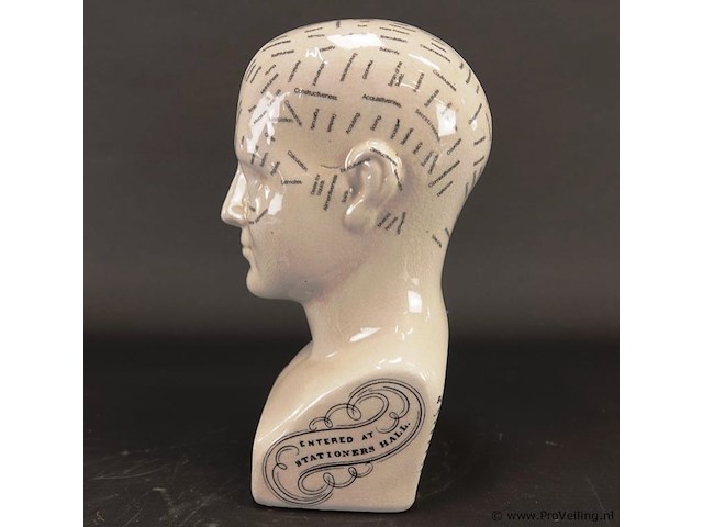 Keramieken frenologiehoofd - afbeelding 3 van  5