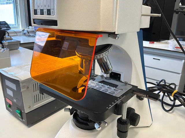 Kern obn 148 trinoculaire fluorescentiemicroscoop - afbeelding 8 van  12