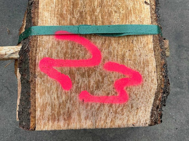 Kers (0,150 m3) - afbeelding 3 van  11