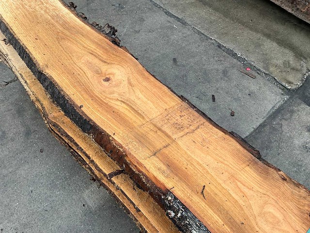 Kers (0,150 m3) - afbeelding 10 van  11