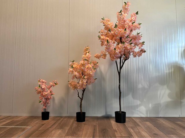 Kersen bloesem (3x) - afbeelding 1 van  6