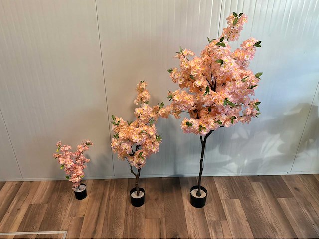 Kersen bloesem (3x) - afbeelding 6 van  6