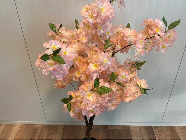 Kersen bloesem (3x) - afbeelding 6 van  6