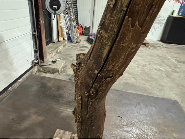 Kersen bloesem kersen bloesem kunstboom - afbeelding 10 van  11