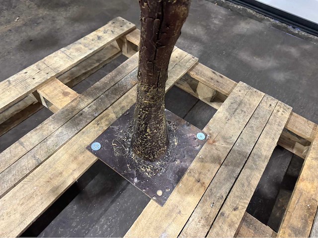 Kersen bloesem kersen bloesem kunstboom - afbeelding 7 van  15