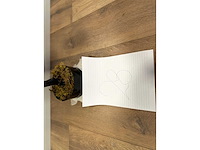 Kersen bloesem kunstboom (2x) - afbeelding 5 van  13