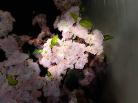 Kersen bloesem kunstboom (2x) - afbeelding 5 van  18