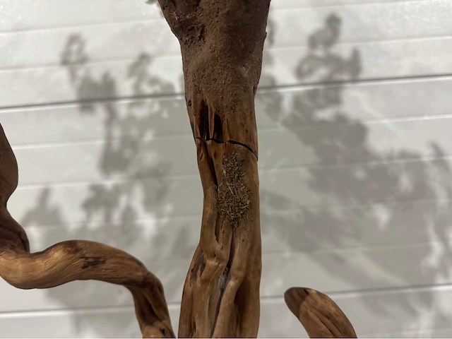 Kersen bloesem kunstboom met pot - afbeelding 4 van  14