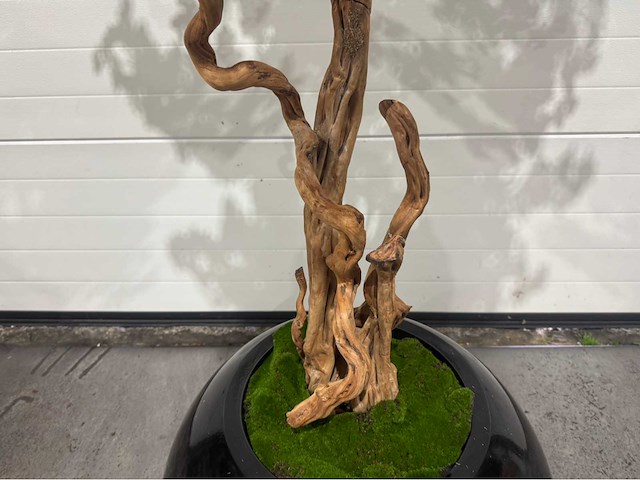 Kersen bloesem kunstboom met pot - afbeelding 6 van  14