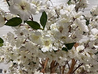 Kersen bloesem kunstboom met pot - afbeelding 13 van  14
