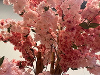 Kersen bloesem kunstboom met pot - afbeelding 14 van  15