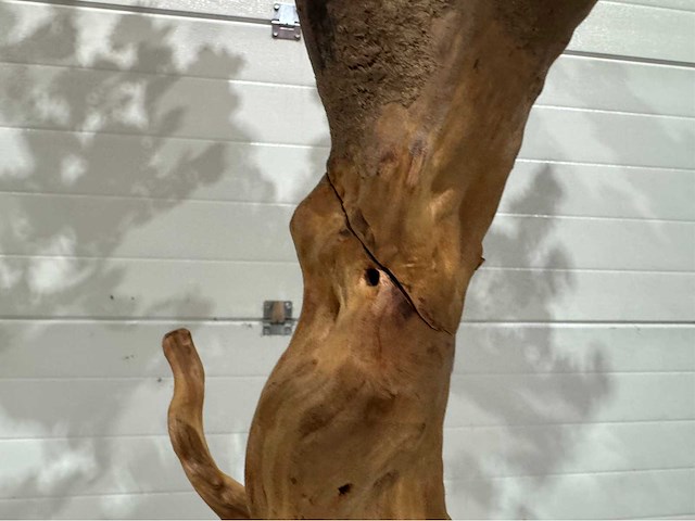 Kersen bloesem kunstboom met pot - afbeelding 4 van  16