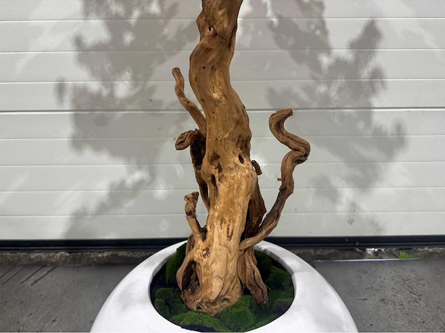 Kersen bloesem kunstboom met pot - afbeelding 7 van  16