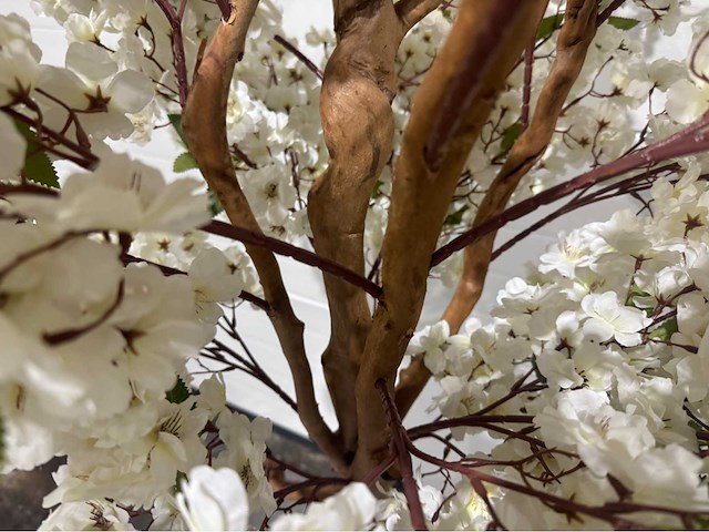 Kersen bloesem kunstboom met pot - afbeelding 2 van  14