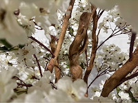 Kersen bloesem kunstboom met pot - afbeelding 3 van  14