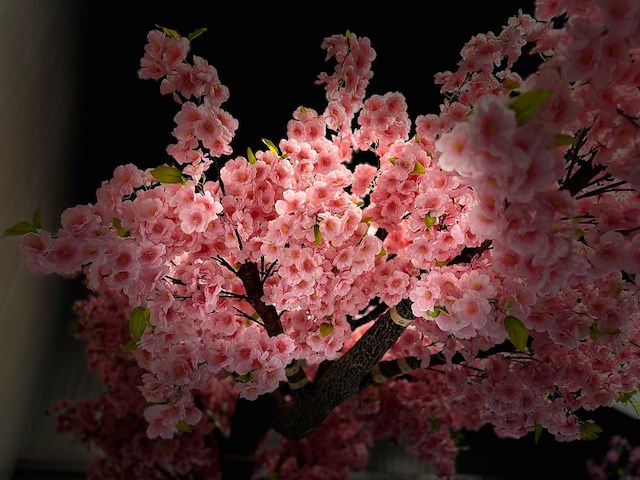 Kersen bloesem kunstboom roze - afbeelding 4 van  19