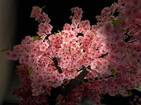 Kersen bloesem kunstboom roze - afbeelding 3 van  3