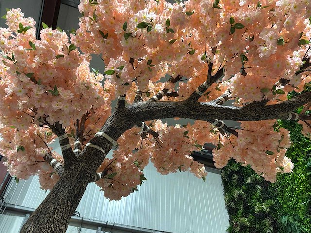 Kersen bloesem kunstboom zalm / rosé - afbeelding 12 van  14