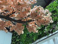 Kersen bloesem kunstboom zalm / rosé - afbeelding 12 van  13