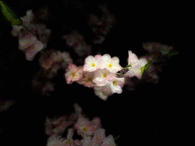 Kersen bloesem kunstboom - afbeelding 3 van  13