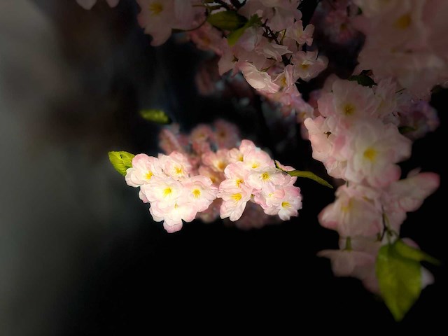 Kersen bloesem kunstboom - afbeelding 7 van  18