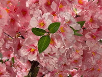 Kersen bloesem kunstboom - afbeelding 5 van  22