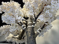 Kersen bloesem kunstboom - afbeelding 5 van  18