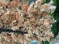 Kersen bloesem kunstboom - afbeelding 4 van  26