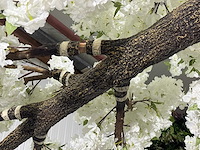 Kersen bloesem kunstboom - afbeelding 19 van  30