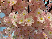 Kersen bloesem kunstboom - afbeelding 3 van  7