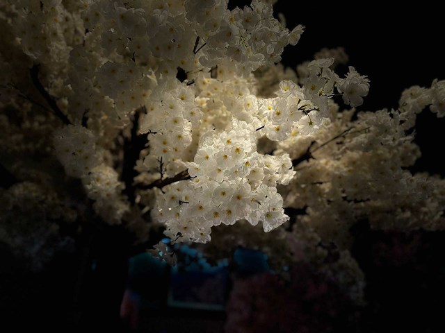 Kersen bloesem kunstboom - afbeelding 15 van  25