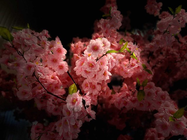 Kersen bloesem kunstboom - afbeelding 3 van  15