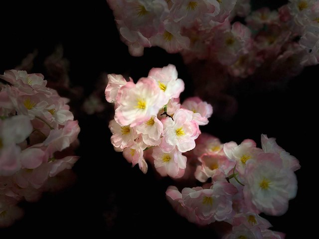 Kersen bloesem kunstboom - afbeelding 5 van  13