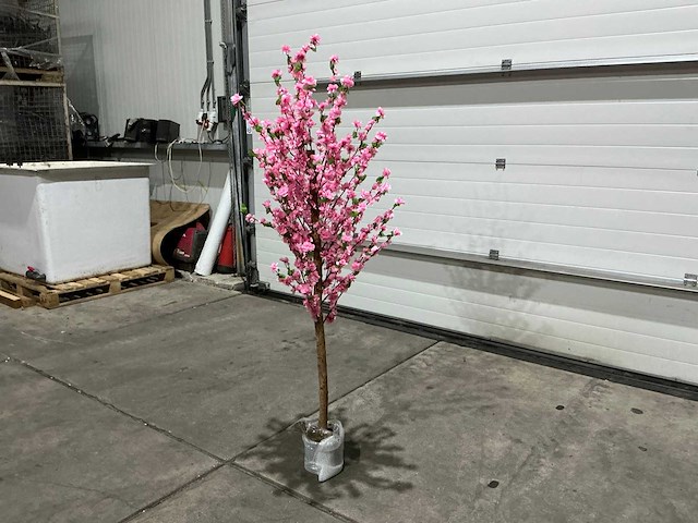 Kersen bloesem - afbeelding 3 van  10