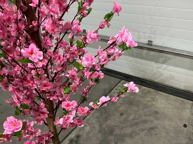 Kersen bloesem - afbeelding 7 van  10