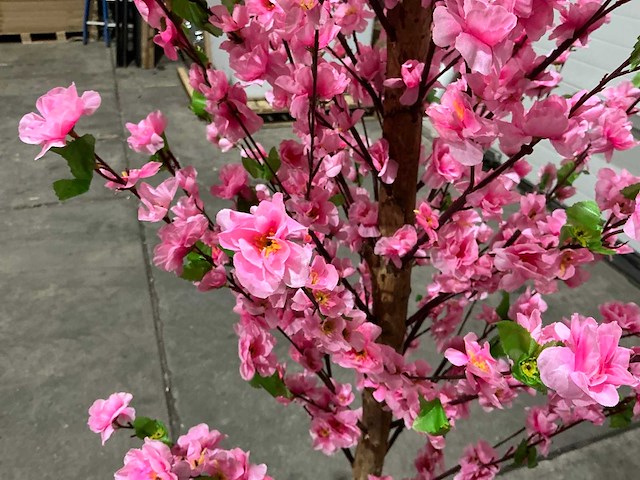 Kersen bloesem - afbeelding 8 van  10