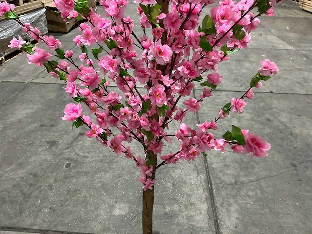 Kersen bloesem - afbeelding 10 van  10