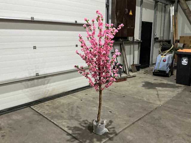 Kersen bloesem - afbeelding 4 van  10