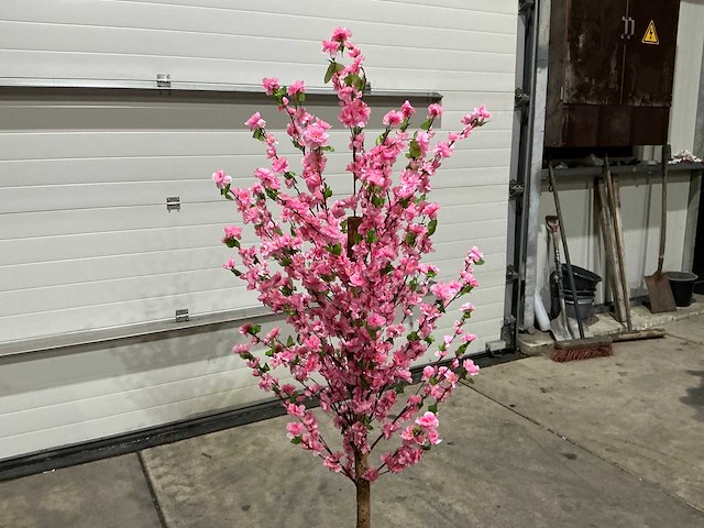 Kersen bloesem - afbeelding 5 van  10